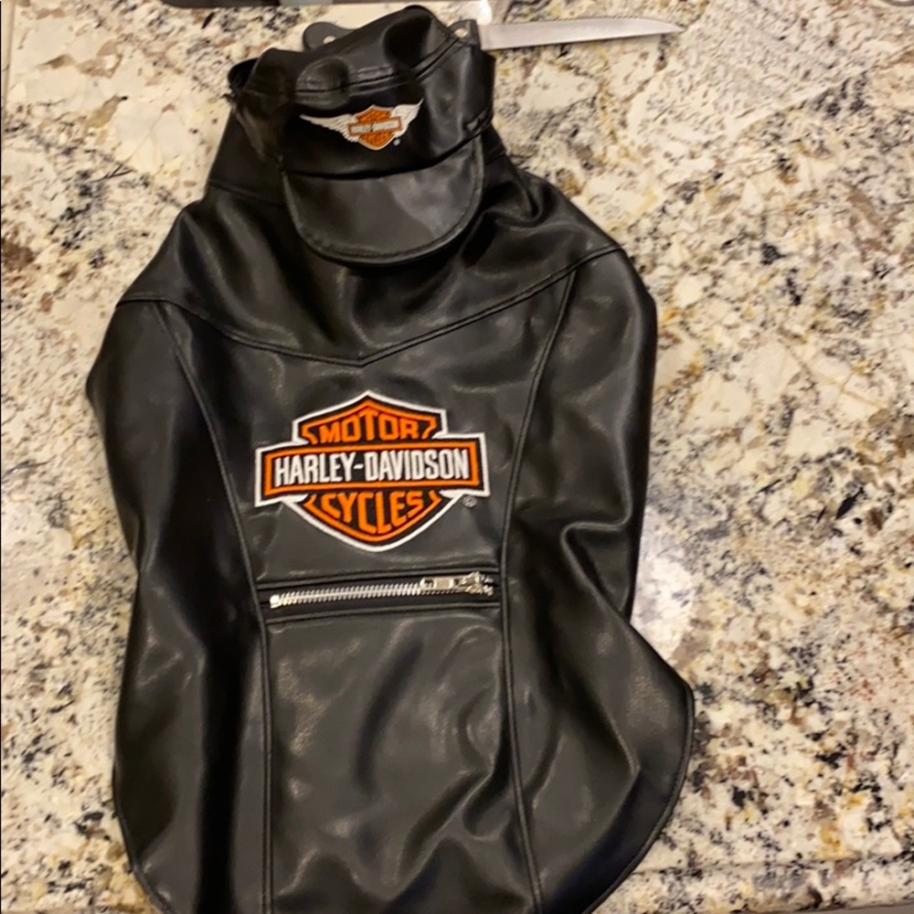 Harley Davidson leather dog costume!
